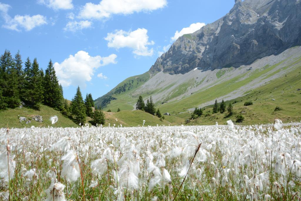 Hotel Hari Im Schlegeli Adelboden Luaran gambar