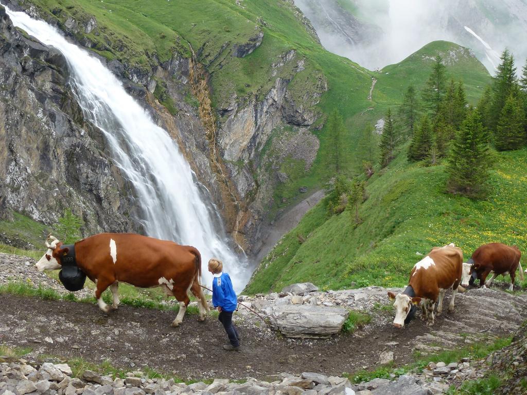 Hotel Hari Im Schlegeli Adelboden Luaran gambar