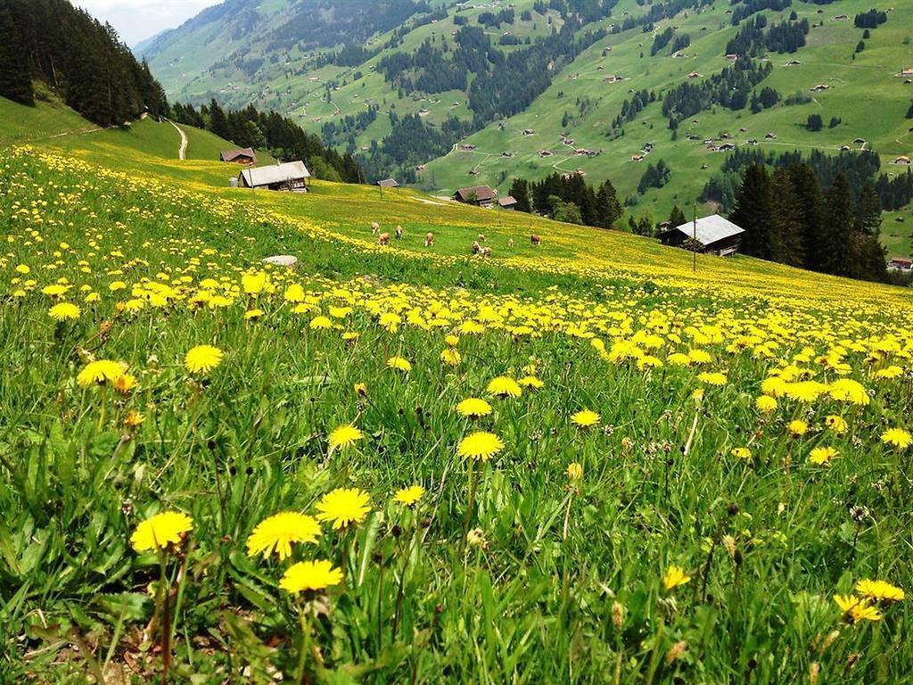 Hotel Hari Im Schlegeli Adelboden Luaran gambar