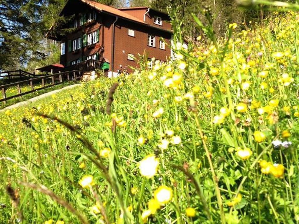 Hotel Hari Im Schlegeli Adelboden Luaran gambar